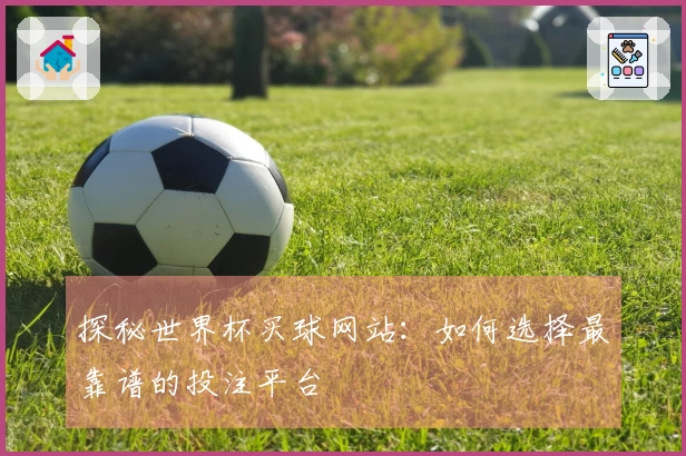 探秘世界杯买球网站：如何选择最靠谱的投注平台