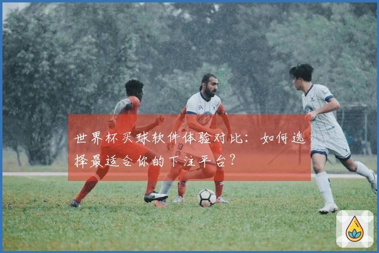 世界杯买球软件体验对比：如何选择最适合你的下注平台？