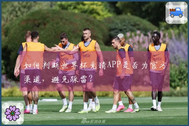 如何判断世界杯竞猜APP是否为官方渠道，避免踩雷？