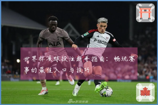 世界杯滚球投注新手指南：畅玩赛事的最佳入口与技巧