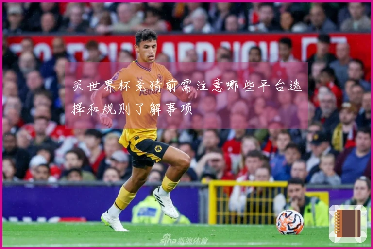 买世界杯竞猜前需注意哪些平台选择和规则了解事项