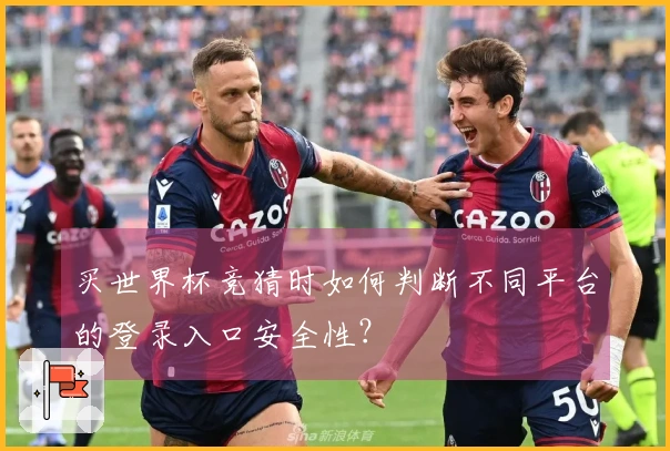 买世界杯竞猜时如何判断不同平台的登录入口安全性？