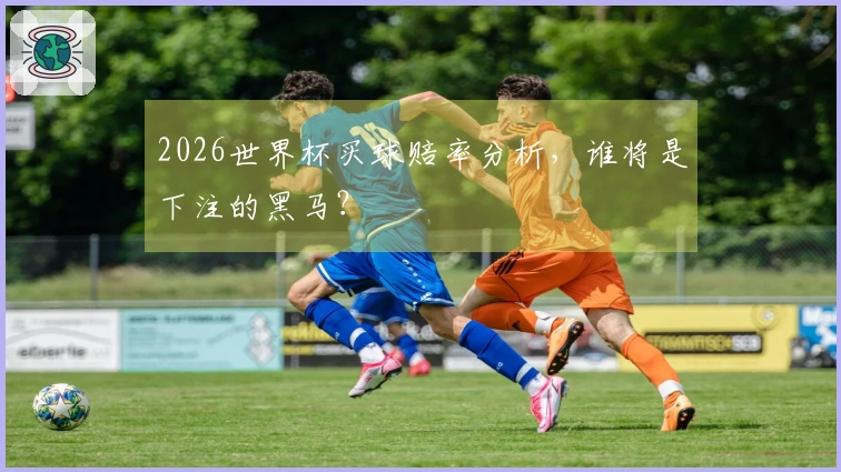 2026世界杯买球赔率分析，谁将是下注的黑马？