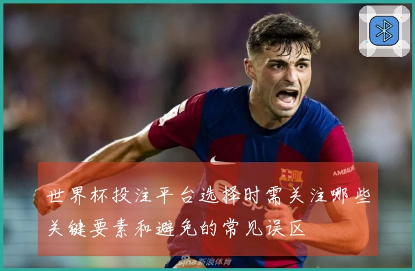 世界杯投注平台选择时需关注哪些关键要素和避免的常见误区