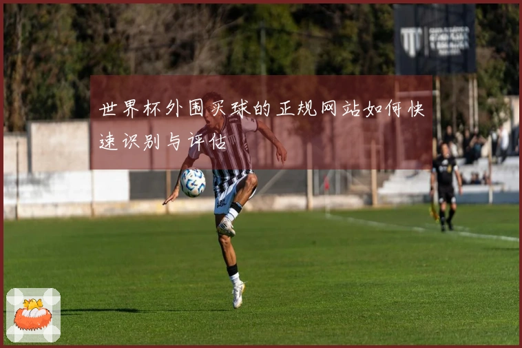 世界杯外围买球的正规网站如何快速识别与评估
