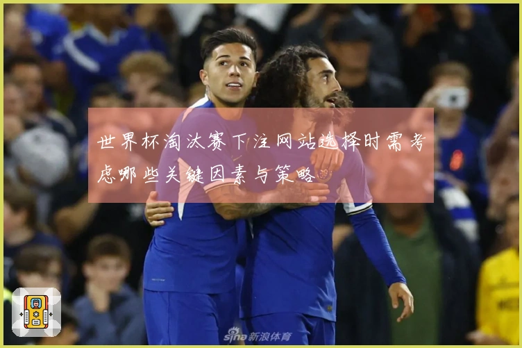 世界杯淘汰赛下注网站选择时需考虑哪些关键因素与策略