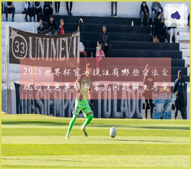 2026世界杯官方投注有哪些合法合规的注意事项和常见问题解决方案