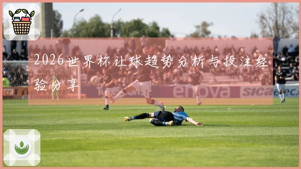 2026世界杯让球趋势分析与投注经验分享