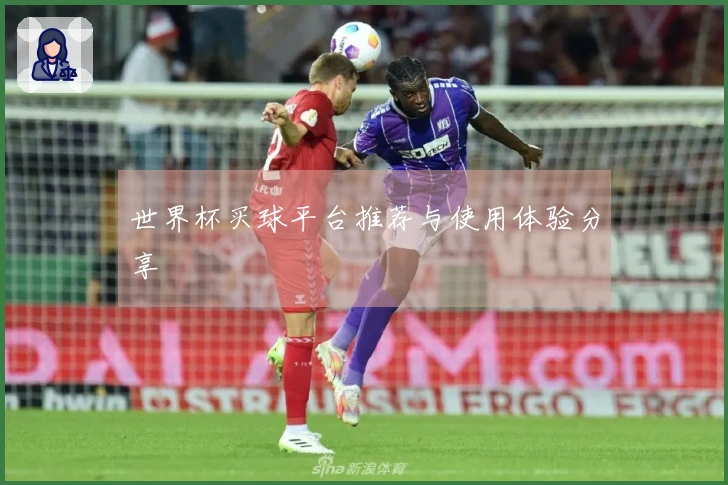 世界杯买球平台推荐与使用体验分享