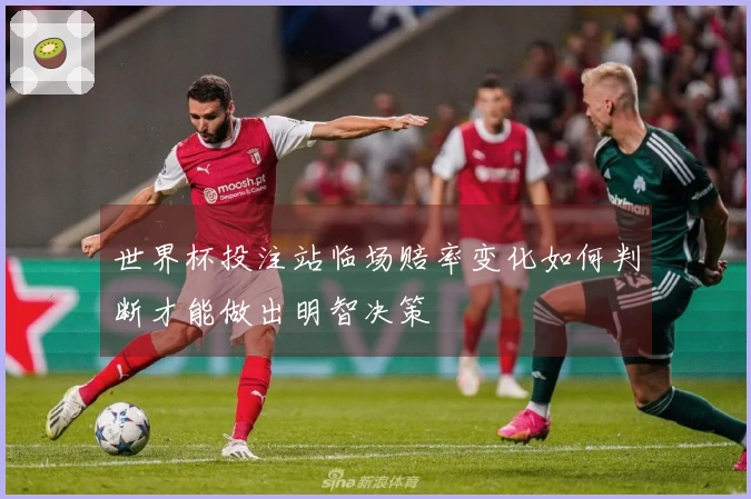 世界杯投注站临场赔率变化如何判断才能做出明智决策