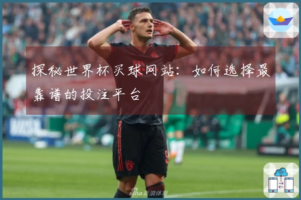 探秘世界杯买球网站：如何选择最靠谱的投注平台