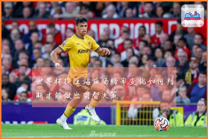 世界杯投注站临场赔率变化如何判断才能做出明智决策