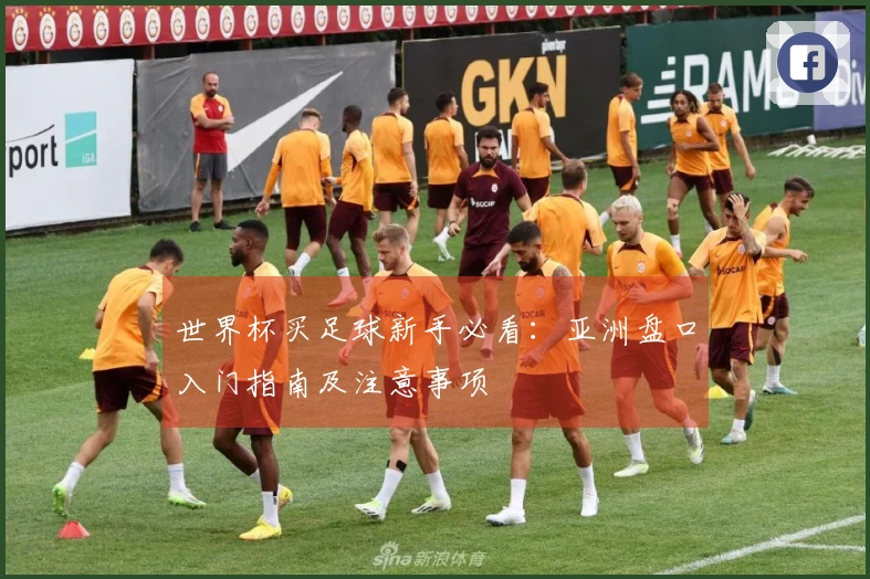 世界杯买足球新手必看：亚洲盘口入门指南及注意事项