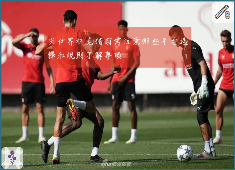 买世界杯竞猜前需注意哪些平台选择和规则了解事项