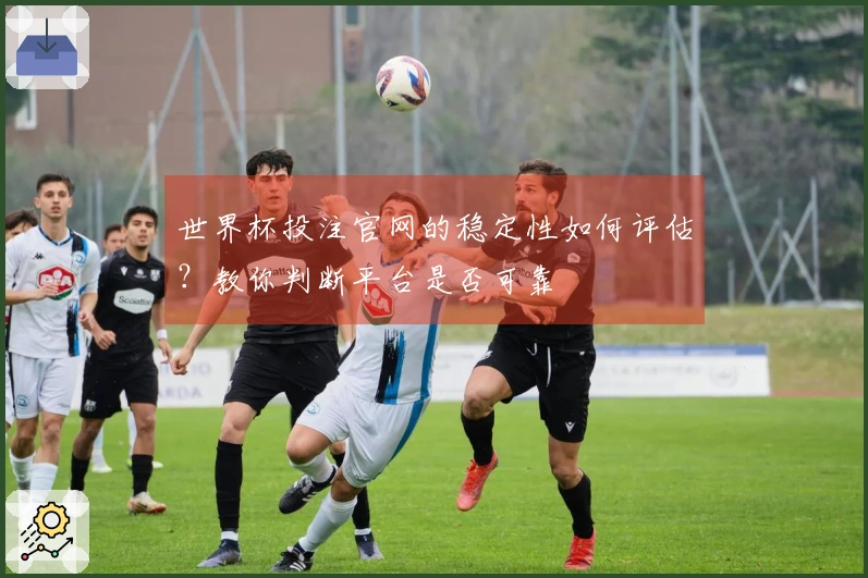 世界杯投注官网的稳定性如何评估？教你判断平台是否可靠