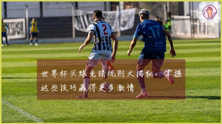 世界杯买球竞猜规则大揭秘，掌握这些技巧赢得更多激情