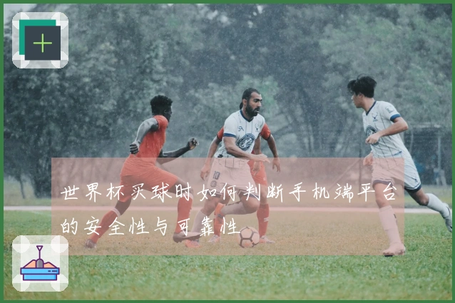 世界杯买球时如何判断手机端平台的安全性与可靠性