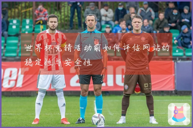 世界杯竞猜活动前如何评估网站的稳定性与安全性