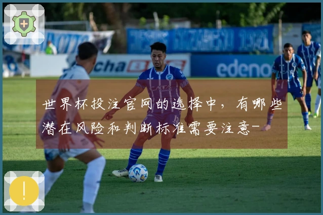 世界杯投注官网的选择中，有哪些潜在风险和判断标准需要注意-