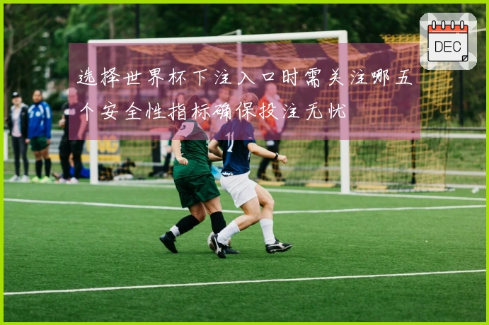 选择世界杯下注入口时需关注哪五个安全性指标确保投注无忧