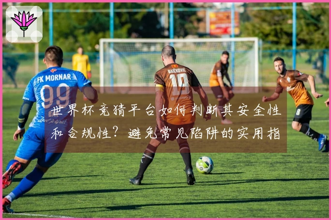 世界杯竞猜平台如何判断其安全性和合规性？避免常见陷阱的实用指南
