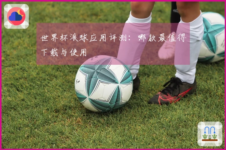 世界杯滚球应用评测：哪款最值得下载与使用