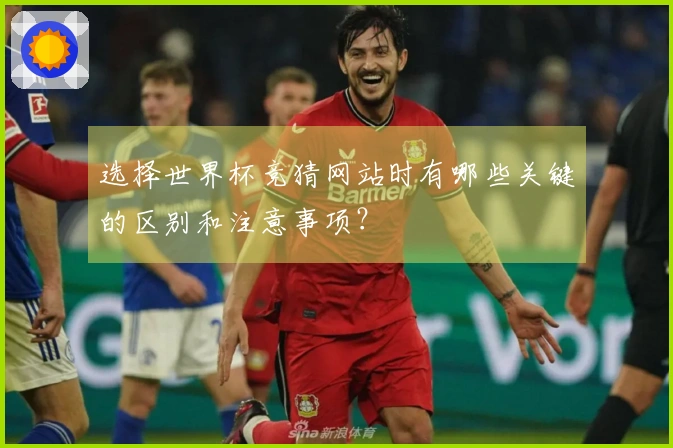 选择世界杯竞猜网站时有哪些关键的区别和注意事项？