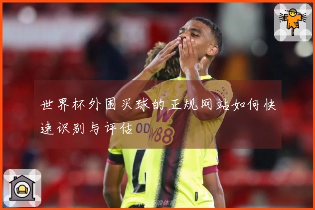 世界杯外围买球的正规网站如何快速识别与评估
